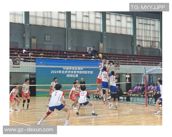 北京排球队技术解析：从基本功到战术运用的全面探讨与提升之路