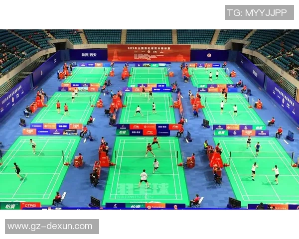 南京羽毛球队在全国羽毛球耐力排行榜中荣获第五名展现出强大实力与潜力