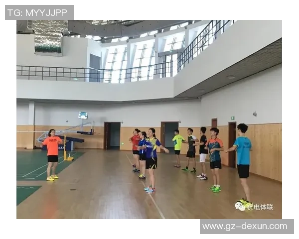 杭州羽毛球队个人能力分析与发展策略探讨 杭州羽毛球队个人能力分析与发展策略探讨